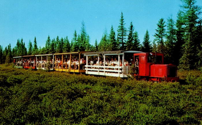 Toonerville Trolley - OLD POSTCARD VIEW